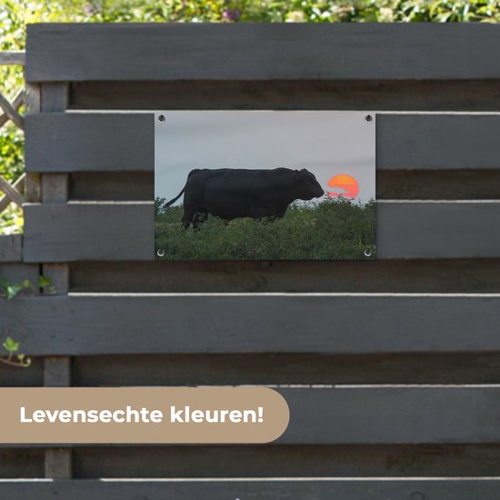 Décoration de jardin Vache - Zwart - Soleil - 60x40 cm - Poster jardin - Toile jardin - Poster extérieur