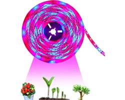 Volledige spectrum LED groeilamp strip voor aquariums en kassen - 12V IP65 SMD 5050 met rood-blauw 3:1 voor optimale plantengroei