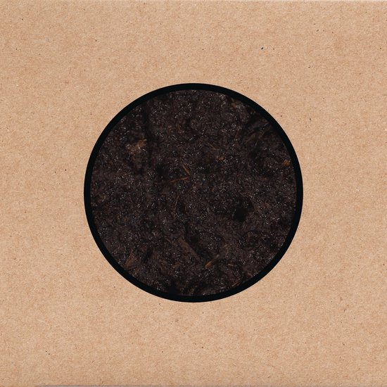 Swans - Birthing (2 CD)
