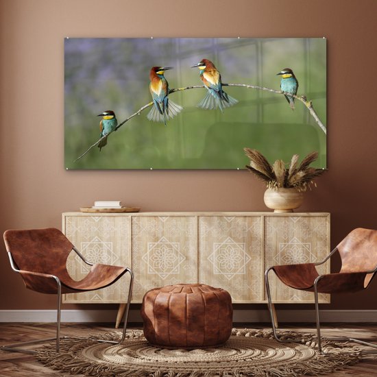 Quatre guêpiers sont assis sur une brindille courbée en plexiglas 160x80 cm - Tirage photo sur Glas (décoration murale en plexiglas)