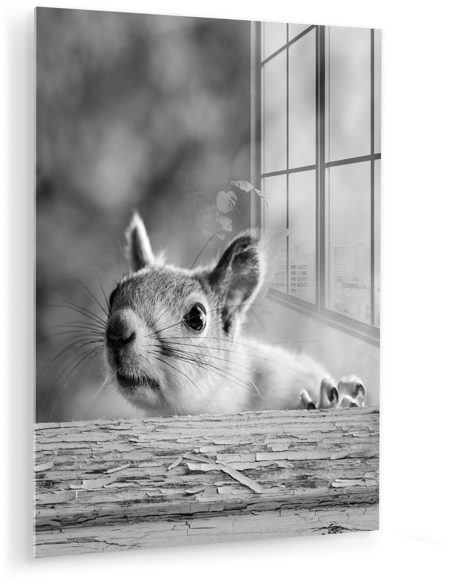 ® Glasschilderij 120x160 cm - Schilderij acrylglas - Eekhoorn - Boomstam - Portret - Foto