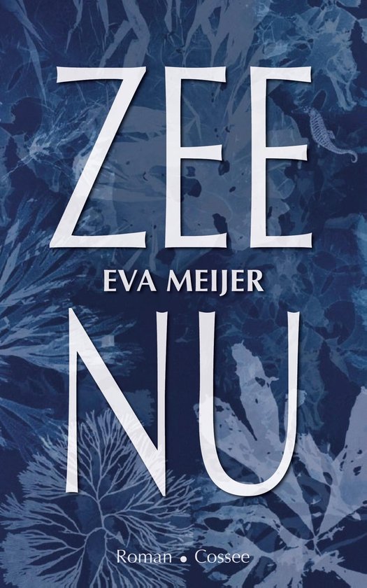 Zee Nu - cover