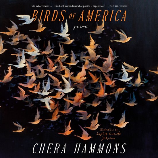 Birds of America - cover
