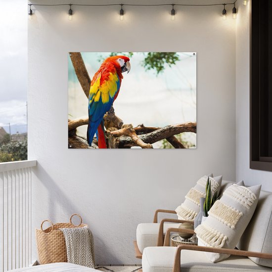 Poster de Jardin Perroquet - Vogel - Arc-en-ciel - Tropical - 200x200 cm - Toile de jardin