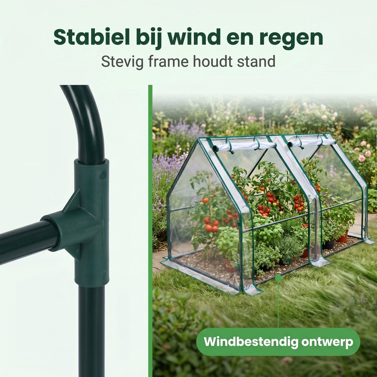 Cheqo® Kweekkas - Foliekas - Tuinkas - Broeikas - Plantenkas - Serre - Greenhouse - Walk-in Kas - voor Balkon en Tuin - met Ritsdeuren - Tomatenkas - Tomatenhuis - Moestuinkas - Plantenhuis - voor Groenten en Bloemen - Kruiden Kweken – foto 7