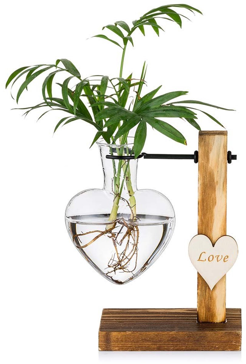 Dailygoods- Plantenvaas Glazen - Houten Standaard - Creatieve Hydrocultuurvaas - Modern Plantenkweekstation - Kantoordecoratie - Voor Binnen/Buiten - Bloempot