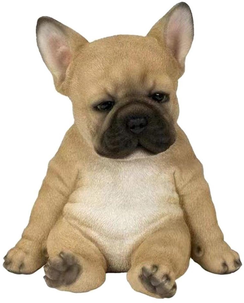 Dailygoods - Dailygoody - Franse Tuinhondbeeldjes - Schattige Decoraties - Perfect voor Binnen en Buiten - Hars Hond Ornament - Grappige Tuinaccessoires - Cadeau v