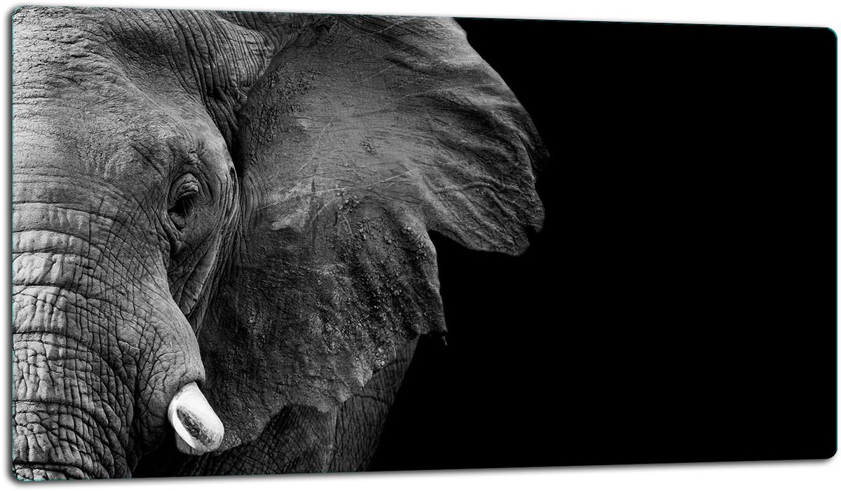 TMK ArtDeko - Snijplank - Beschermplaat - Inductie Geschikt - Olifant