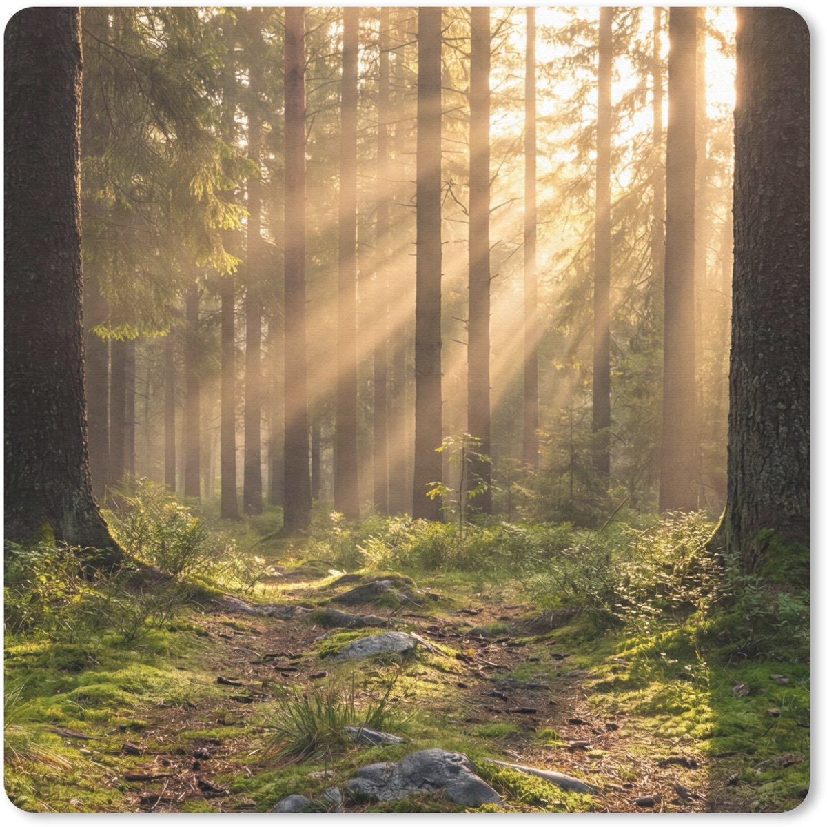 Muismat 30x30 cm - Mousepad Bos - Zonlicht - Gras - Muismatten