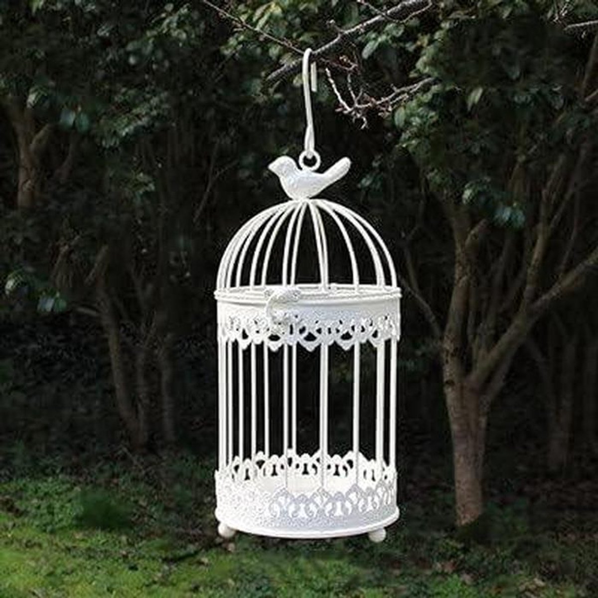Metalen Vogelkooi - Decoratieve Kooi - Planten Decoratie - Pastoraal Stijl - Middelgroot - Wit