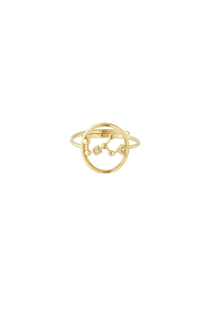 12 zodiac-ringen - Goudkleur