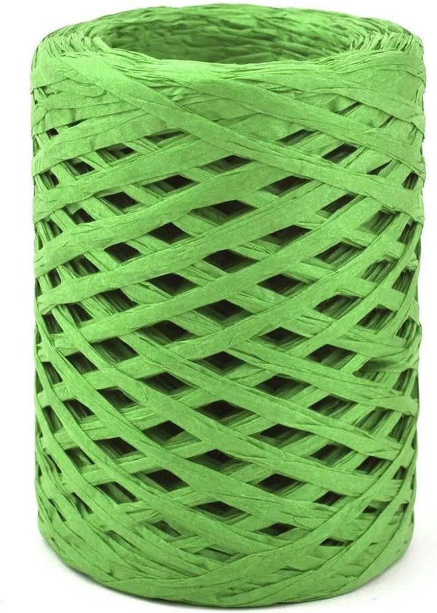 Raffia Stro Garen - Papier Garen Touw - Hand Breien Haken - Natuurlijk Biologisch Afbreekbaar - 100 Meter - Meerdere Kleuren