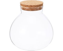 Ronde glazen terrarium voor vetplanten met mosbal en kurken deksel - Perfect voor decoratie en cadeau