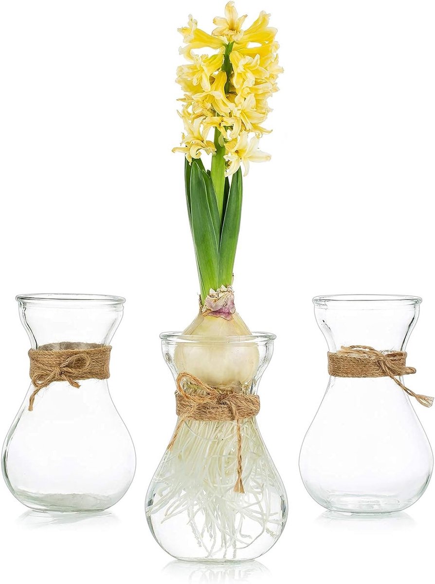 Set van 3 Glazen Vazen voor Bloemen met Koord - Creatieve Bloemarrangementen voor Bruiloften, Thuisdecoratie en Tuinaccessoires