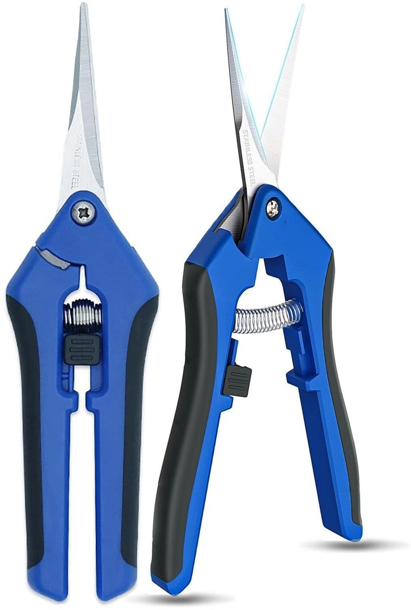 Dailygoods - Dailygoody - Snoeischaar 16,5 cm - Professionele Oogschaar - Gebogen Titanium Messen - Blauw - Voor Bloemen en Takken - Ideaal voor Tuin en Bonsa
