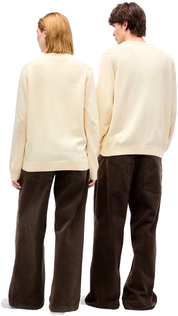Lacoste Regular fit crew neck sweater Naturel Clair