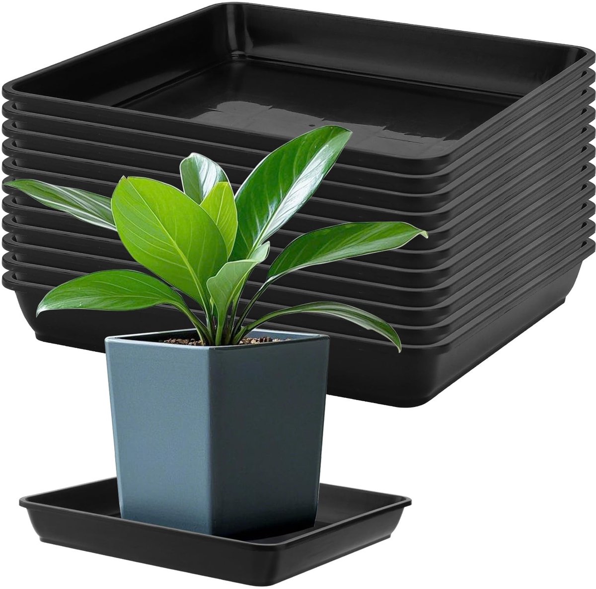 Dailygoods- Plantenpot - Set van 12 - Zwarte Plastic - Vierkante Plantenpotschotels - 29,1 x 4 cm - Overtollig Wateropvang - Geschikt voor Binnen/Buiten - Druppelbak