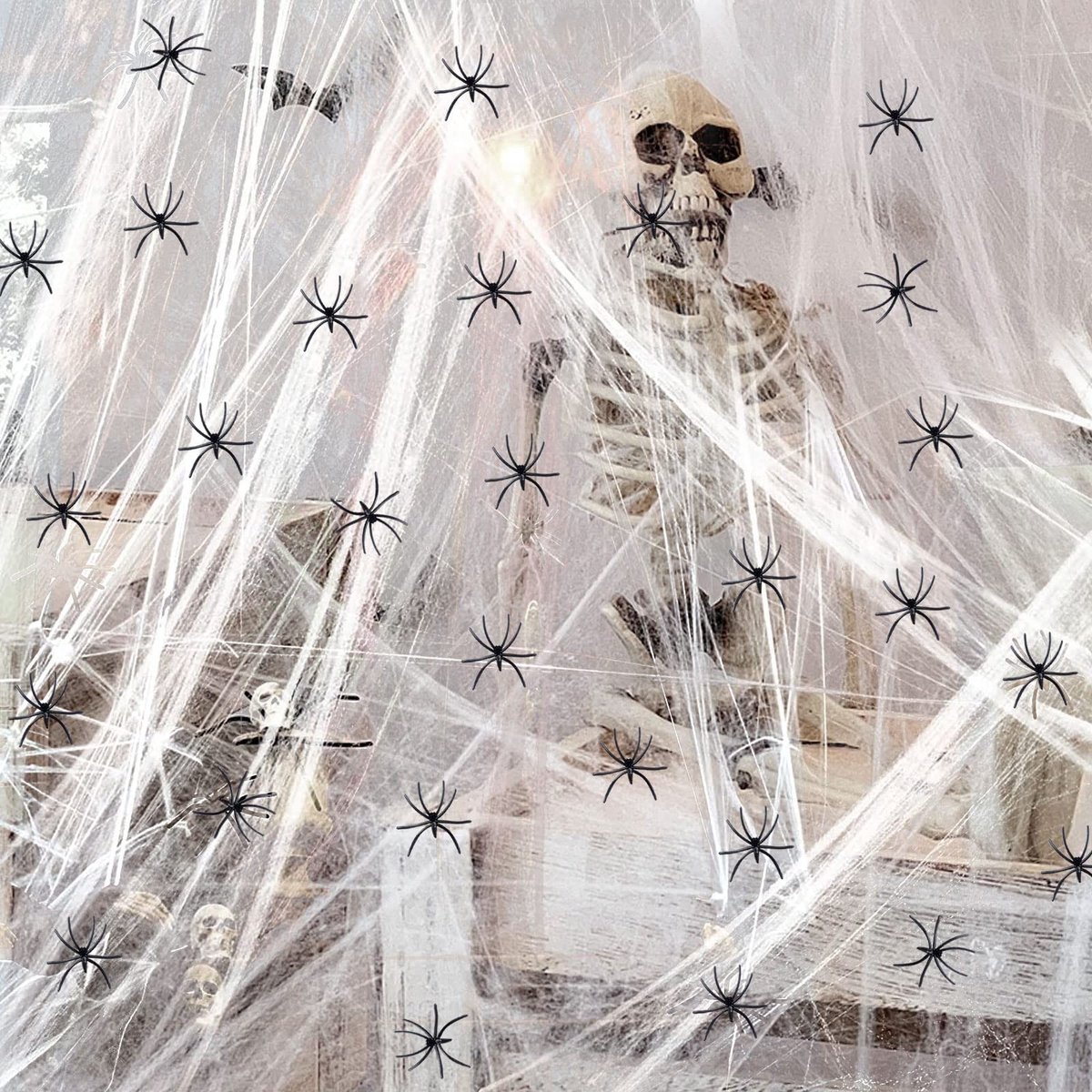 Dailygoods- Spinnenweb Halloween Decoratie - 100 g Spinnenweb - 20 Spinnen - Polyester - Duurzaam - Realistisch Effect - Feestdecoratie