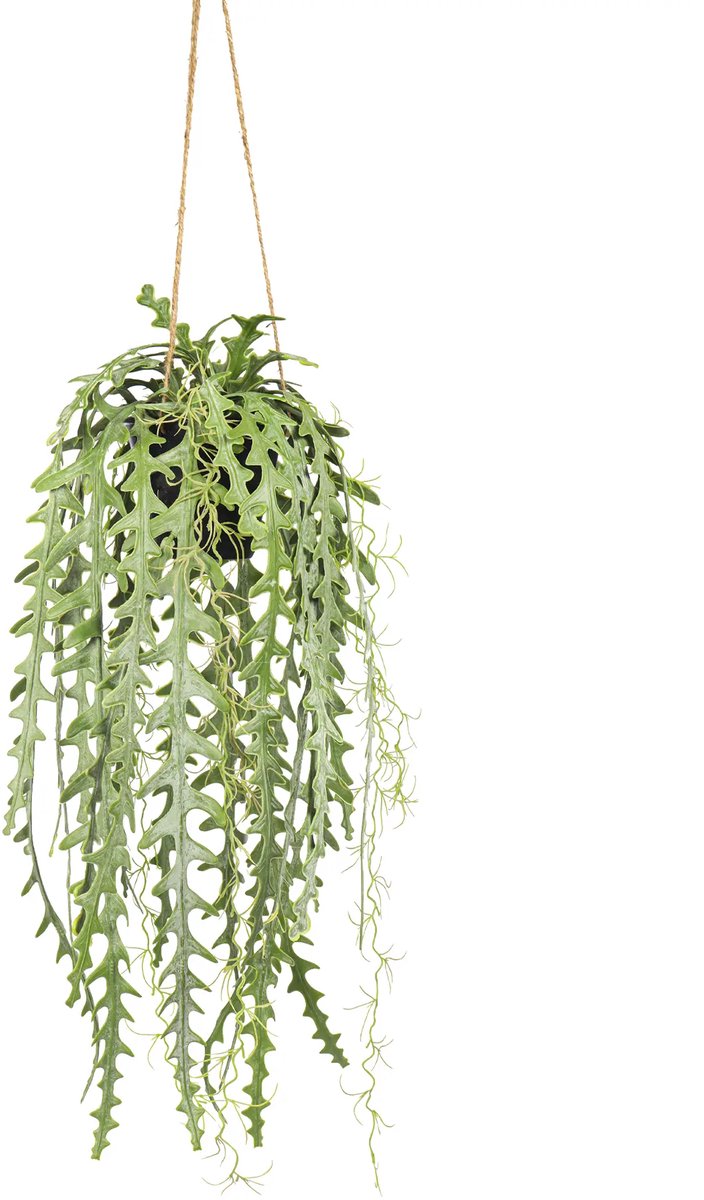 Kunstpalm Kunst Hangplant Zaagcactus 65 cm | Groen | Kunst Hangplant - Nep Hangplant - Kunstplant in hangpot Lichtgroen