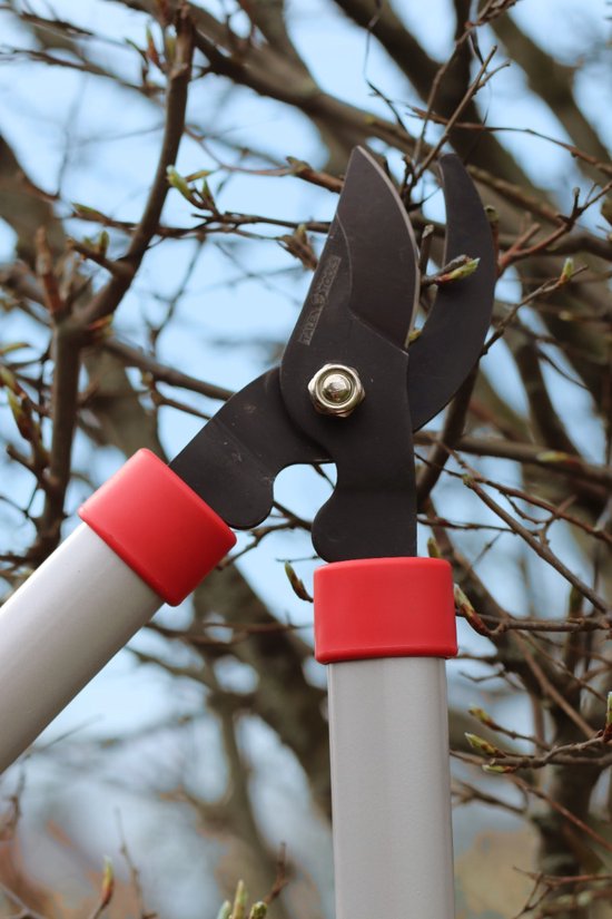 Talen Tools - Snoeiset - Takkenschaar - Snoeischaar - Koolstofstalen messen van Talen Tools — afbeelding 3