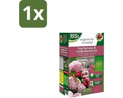 1 x BSI – Hortensia & Rododendron Meststof – Rijke Bloei & Sterke Groei – 4 kg (40 m²) - Meststof Zuurminnende Planten - Hortensia Mest - Rododendron Voeding - Azalea Meststof - Magnesium