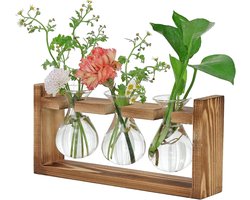 Decoratie voor woonkamer en kantoor met houten standaard, 3 planten terrarium en waterwisselaar - ideaal voor eetkamers en leefruimtes
