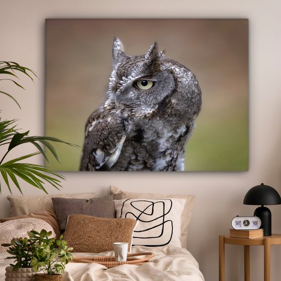 Gros plan d'un petit hibou sur toile 160x120 cm - Tirage photo sur toile (Décoration murale salon / chambre) XXL / Groot format!