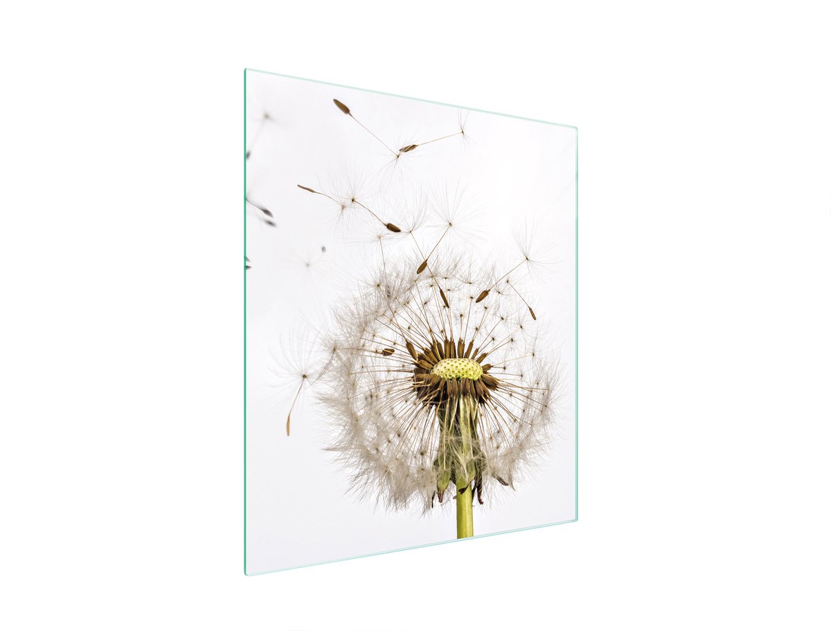 TMK ArtDeko - Kookplaatbeschermer - 45x52 cm - Kleurig Bloemmotief - Hartglas