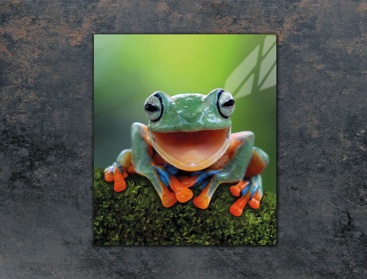TMK ArtDeko Serie - Snijplank Glas - 45x52 cm - Motief: Kikker