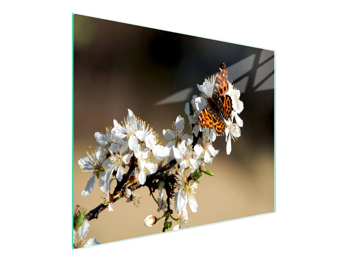 TMK ArtDeko - Snijplank - Glas - 52x30 cm - UV Print