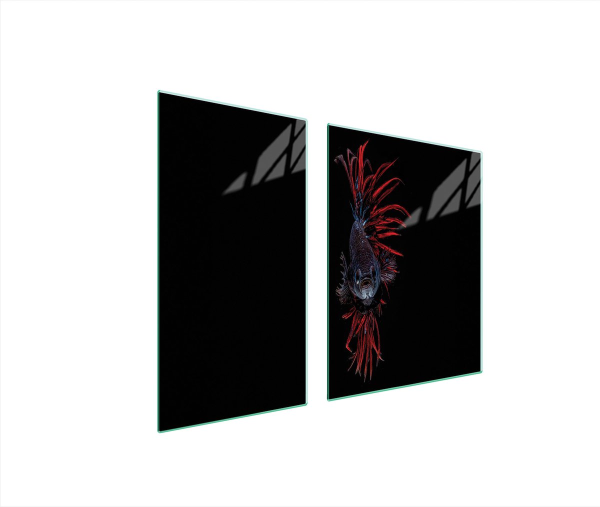 TMK ArtDeko - Glasplaat Bescherming - 90x52 cm - Vis Design