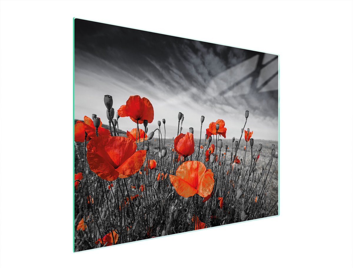 TMK ArtDeko - Glazen Snijplank - 52x40 cm - Hardglas - Antislip