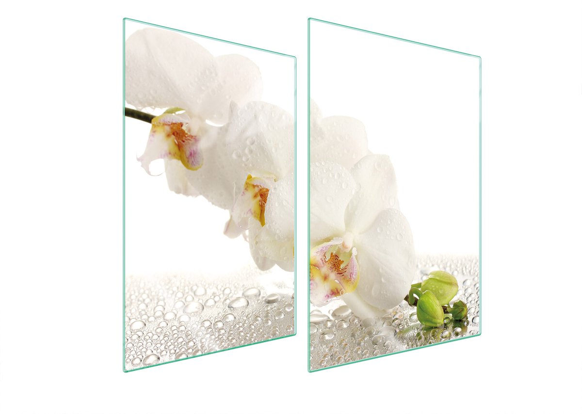 TMK ArtDeko Serie - Glazen Beschermplaat - 2x35x52 cm - Orchidee