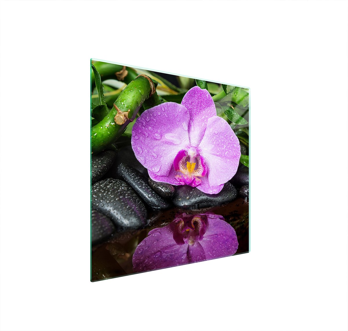 TMK ArtDeko - Glasplaat Bescherming Fornuis - 50x52 cm - Orchidee - Hard Glas - Multifunctioneel