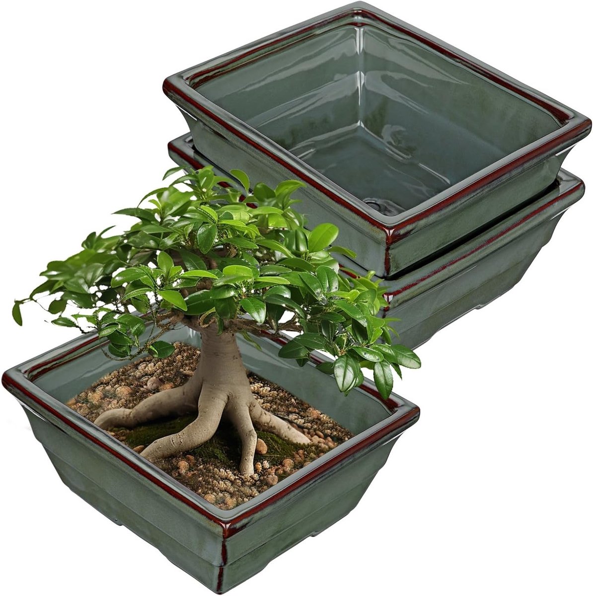 Set van 2 keramische bonsai potten met drainagegaten voor kamerplanten, retro tuindecoratie, diameter 25,5 cm