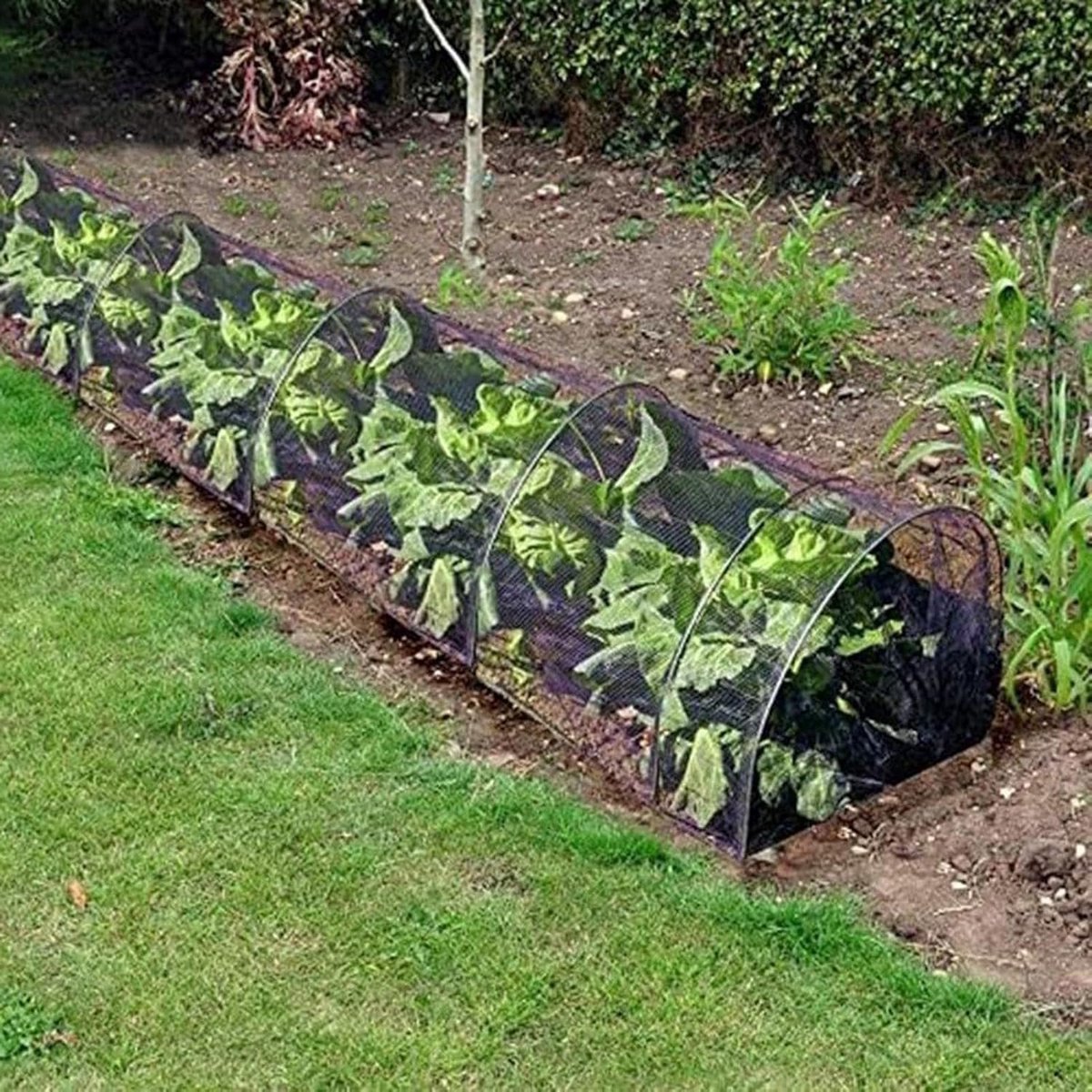 Drijvende Rijafdekking - Plantenbescherming Tunnel - Bescherming Tegen Weer - Hoge Dichtheid Gaas - 3 m x 45 cm