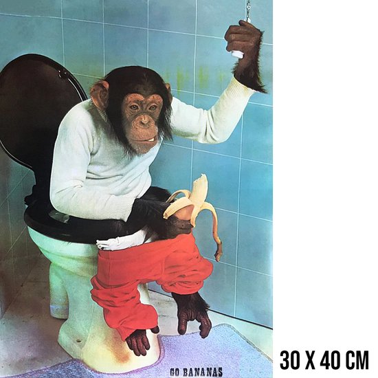 Une peinture d'un singe sur des toilettes, tenant une banane et portant un pull blanc. Le texte "GO BANANAS" est en bas. Taille 30 x 40 cm.