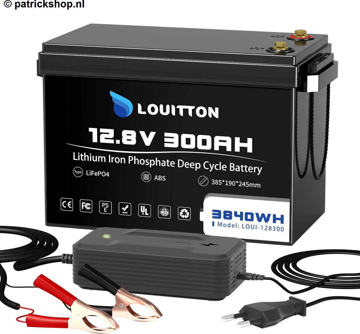 12V 300AH 3840WH LifePo4 Accu met BMS inclusief lader