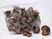 Badam Nut 5-8cm