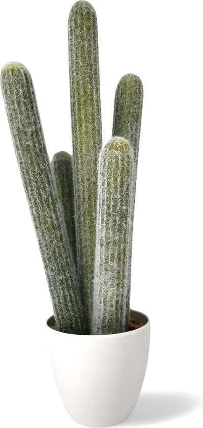 Dulaire Faux Cactus Groot 54 cm