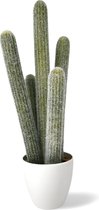Dulaire Nep Cactus Groot 54 cm