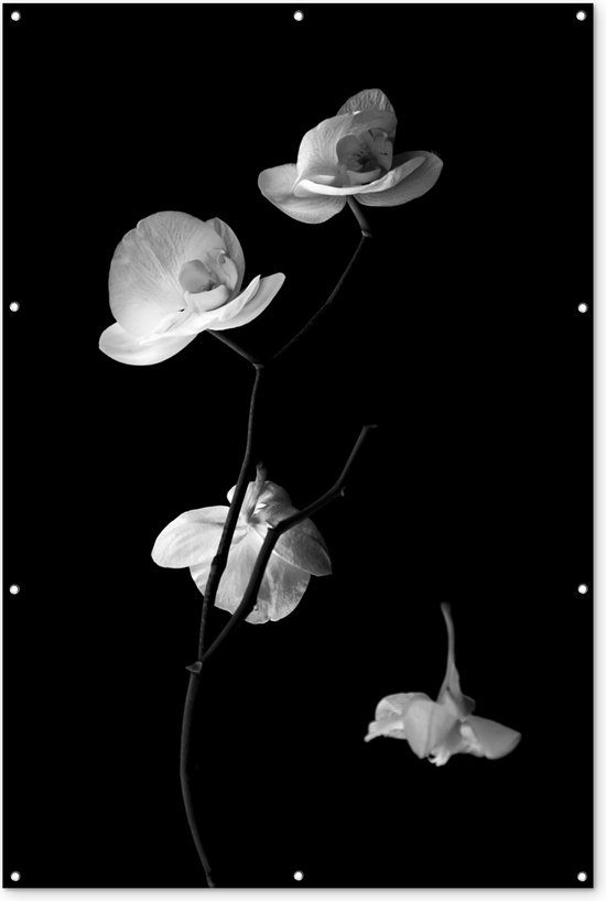 Muurdecoratie Orchidee - Bloemen - Zwart - Wit - Stilleven - 120x180 cm - Tuinposter - Tuindoek - Buitenposter