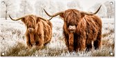 Tuinposter Schotse hooglander - Dieren - Koe - 80x40 cm - Wanddecoratie Buiten - Tuinposter - Tuindoek - Schuttingposter - Tuinschilderij