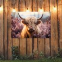 Een bruine Schotse hooglander met lange, golvende vacht staat in een veld met roze bloesems.