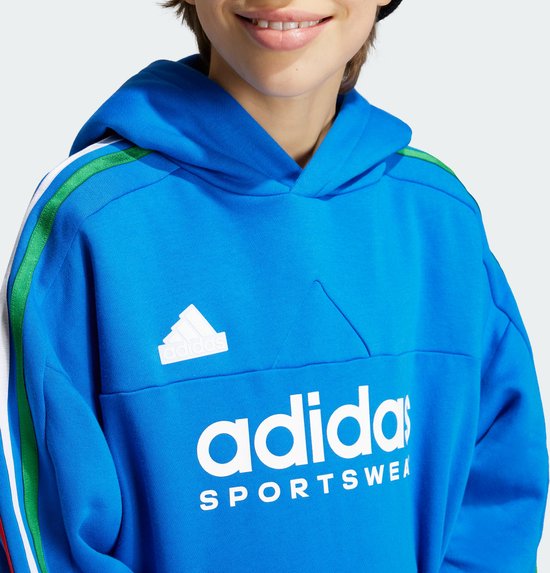 adidas Sportswear Tiro Nations Pack Hoodie Kids - Kinderen - Blauw- 152