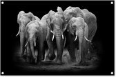 Tuinposters buiten Olifant - Zwart - Wit - Dieren - 90x60 cm - Tuindoek - Buitenposter