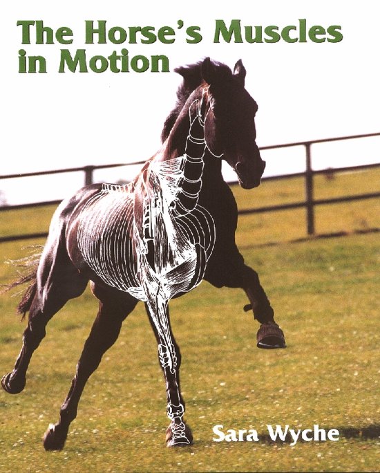 The Horse's Muscles in Motion - cover