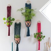 Macramé Pakket Planthanger Bali Coral