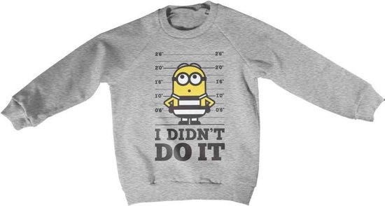Minions Sweater/trui kids -Kids tm 8 jaar- I Didn't Do It Grijs