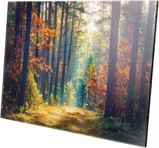 Maak leven bus gemakkelijk Bos in de herfst | 150 x 100 CM | Wanddecoratie | Natuur | Plexiglas |  Schilderij op... | bol.com